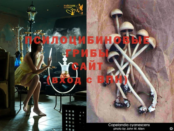 дистиллят марихуана Нефтекумск