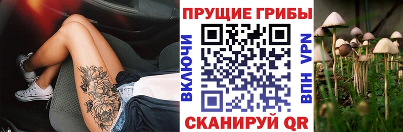 Галлюциногенные грибы MAGIC MUSHROOMS  omg маркетплейс  Кола 
